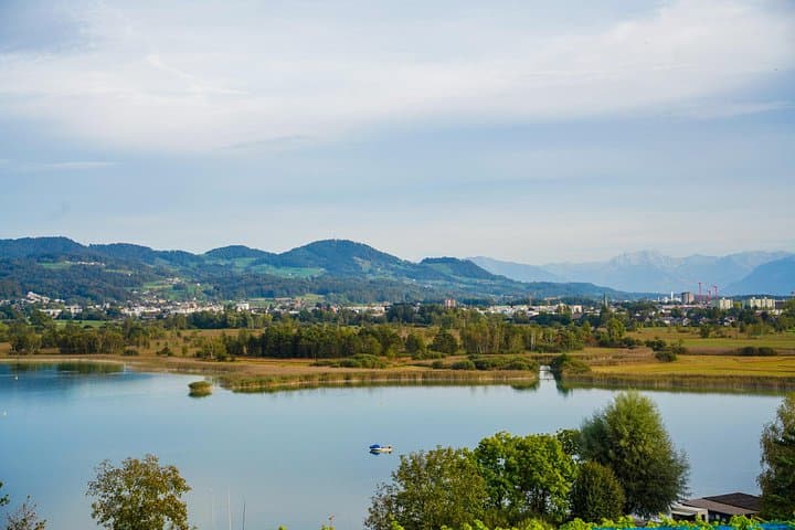Zurich Farm Escape: Lake Pfäffikersee & Juckerhof Half‑Day Private Tour photo 3