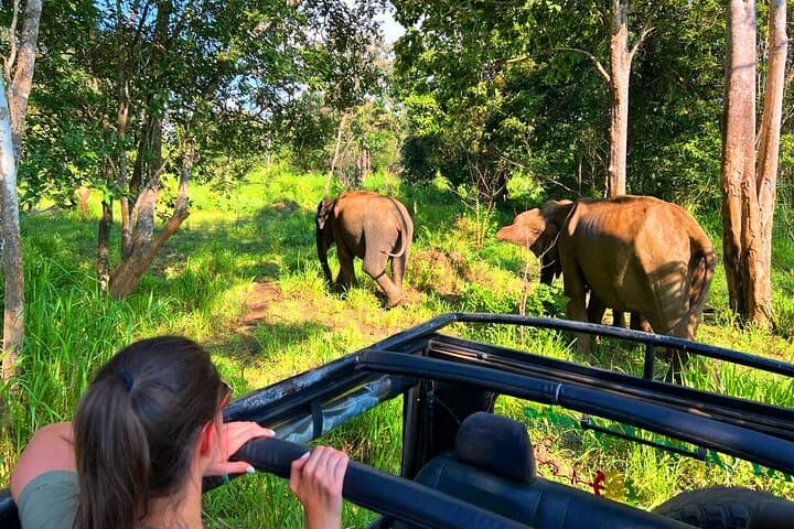 Sri Lanka 7-Day Cultural & Coastal Tour — Sigiriya, Kandy, Galle, Bentota photo 4