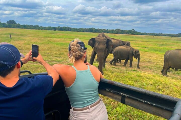 Sri Lanka 9-Day Cultural & Wildlife Circuit: Colombo, Hill Country & Yala Safari photo 6
