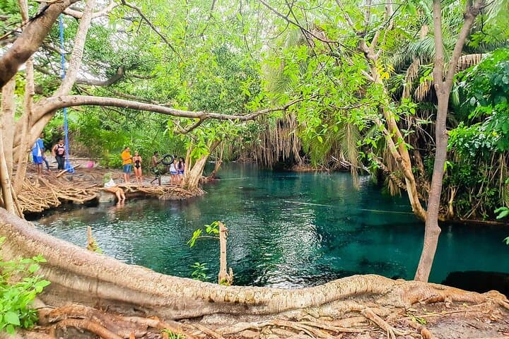 Materuni Waterfalls, Coffee Tour & Hot Springs — Day Trip from Arusha photo 3