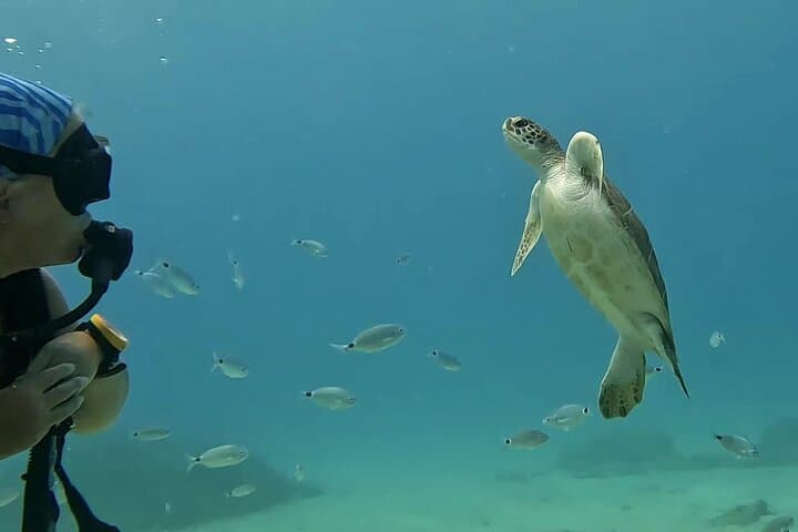 Discover SCUBA Diving in Pissouri Bay: Introductory Dives off Limassol photo 6