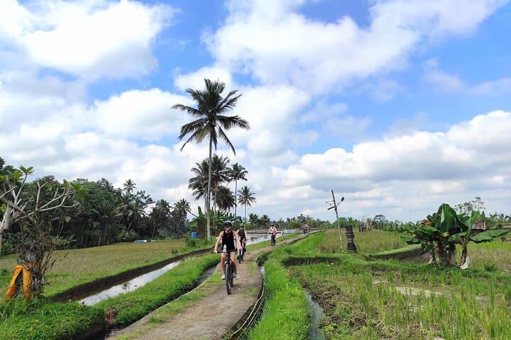Ubud eBike Tour to Tegallalang Rice Terraces and Subak Irrigation photo 1