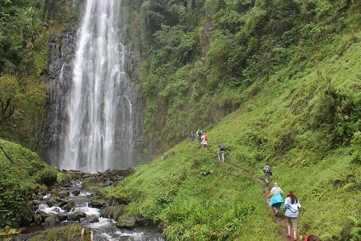 3-Day Tarangire, Ngorongoro & Materuni Safari from Arusha