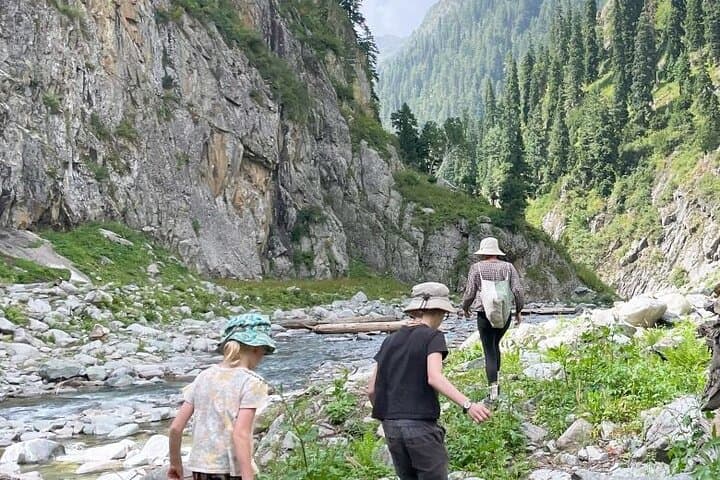 Kashmir Naranag to Marchoi Trek: 5-Day Guided Marchoi & Dumail Expedition photo 4