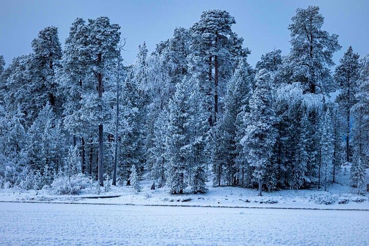 Electric Snow Scooters Tour in Ivalo — 2-Hour Arctic Ride photo 2