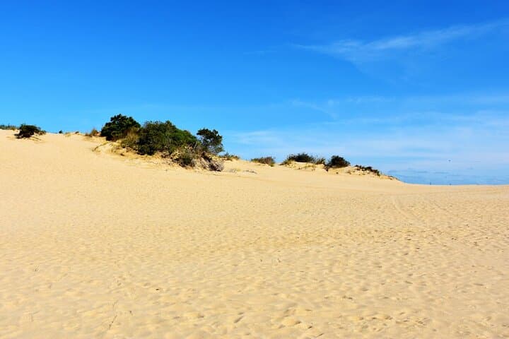 Drive the Outer Banks: Wright Brothers Carolina Dunes Self-Guided Audio Tour photo 4