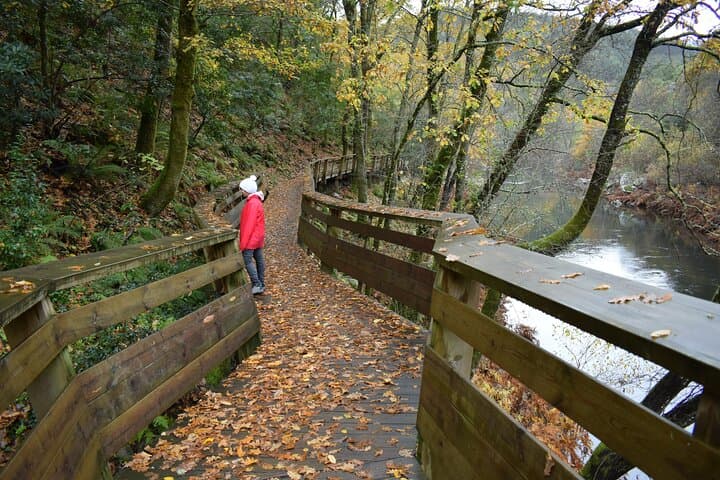 Passadiços do Paiva & 516 Arouca Suspension Bridge: Guided Hike Through Paiva Gorge photo 6