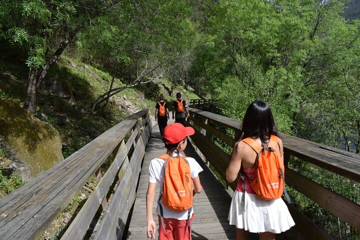 Passadiços do Paiva & Bridge 516 Arouca: Day Hike from Porto photo 3