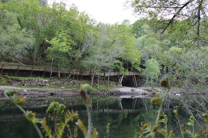 Passadiços do Paiva & Bridge 516 Arouca: Day Hike from Porto photo 6