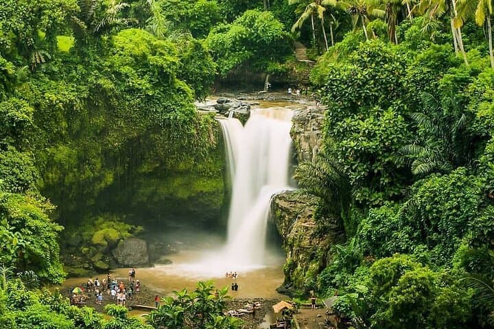 Full-Day Private Ubud Tour: Waterfalls, Rice Terraces & Monkey Forest photo 4