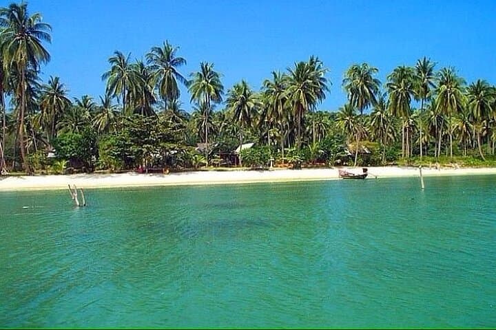 Private Longtail to Pig Island: Koh Madsum & Koh Tan Half‑Day Snorkel photo 4