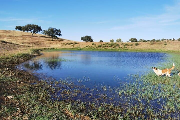 Luxury Countryside Picnic at Herdade Foz da Represa, Mértola photo 6