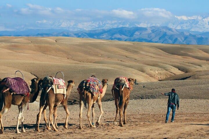 Quad Biking, Camel Ride & Hammam Spa Day in Marrakech photo 4