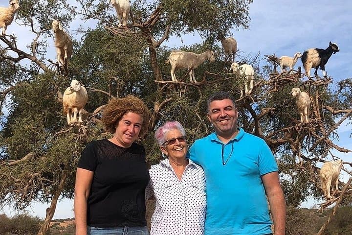 Essaouira Day Trip from Marrakech: Coastal Medina, Argan Stops & Windy Beaches