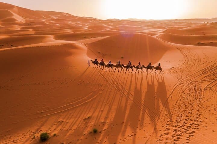 2-Day Marrakech to Merzouga Desert Adventure — Overnight Erg Chebbi Camp photo 6