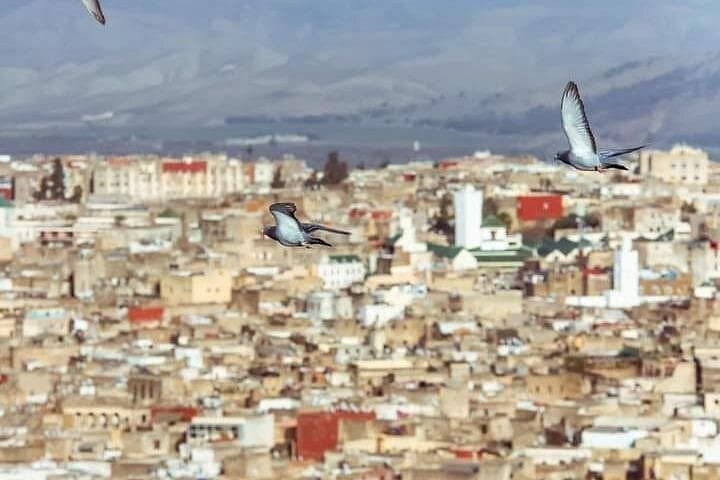 Full-Day Private Tour of Fez Medina with Lunch or Dinner photo 5