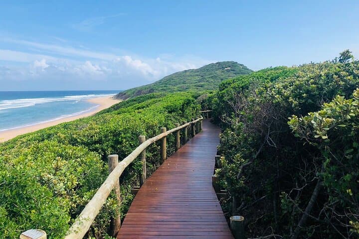 2-Day Maputo National Park Safari & Beach Camping in Maputo Special Reserve