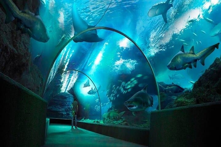 Sea Life Bangkok Ocean World Tickets & Visitor Guide photo 3