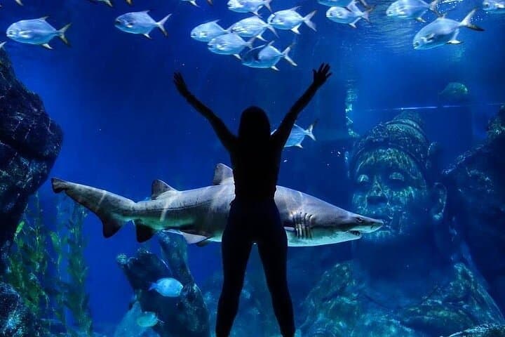 Sea Life Bangkok Ocean World Tickets & Visitor Guide photo 5