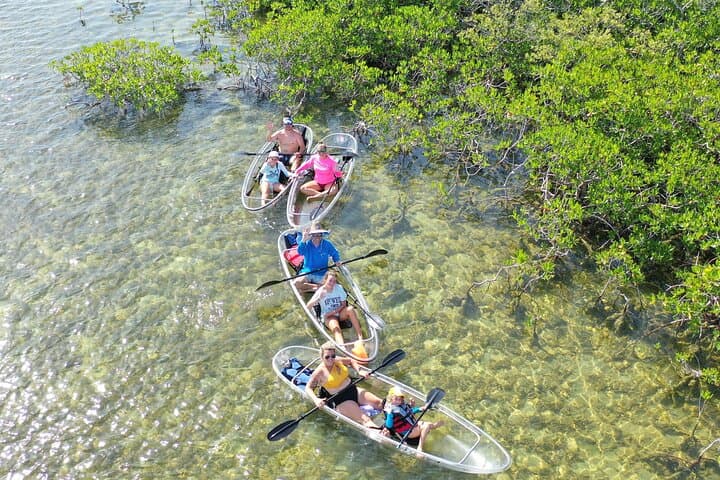 Clear Kayak Eco-Tour at Sugarloaf Key — See Florida Keys Marine Life photo 1