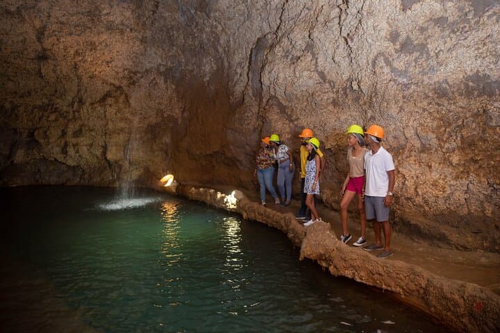 Harrison's Cave & Monkey Zipline: Underground Tram, Aviary Walk and 120-Foot Zips in Barbados photo 2