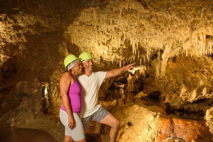Harrison's Cave & Monkey Zipline: Underground Tram, Aviary Walk and 120-Foot Zips in Barbados photo 4