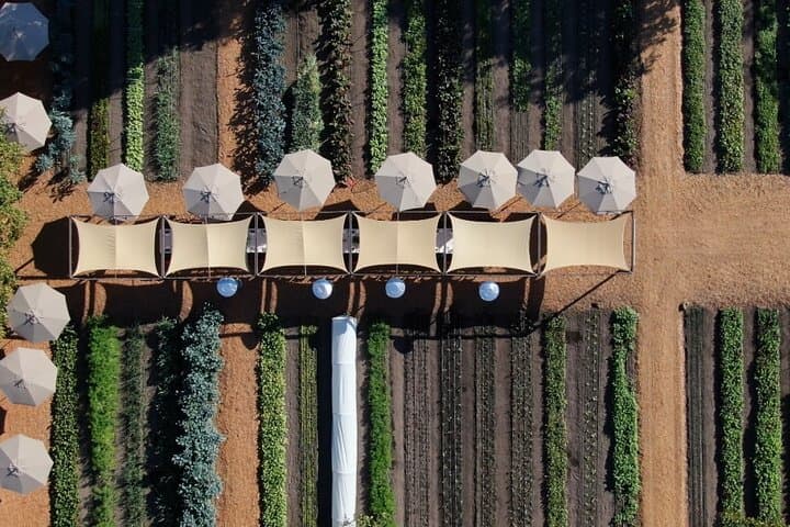Private Sonoma Wine Tour: 6-Hour Custom SUV Tasting Experience photo 6