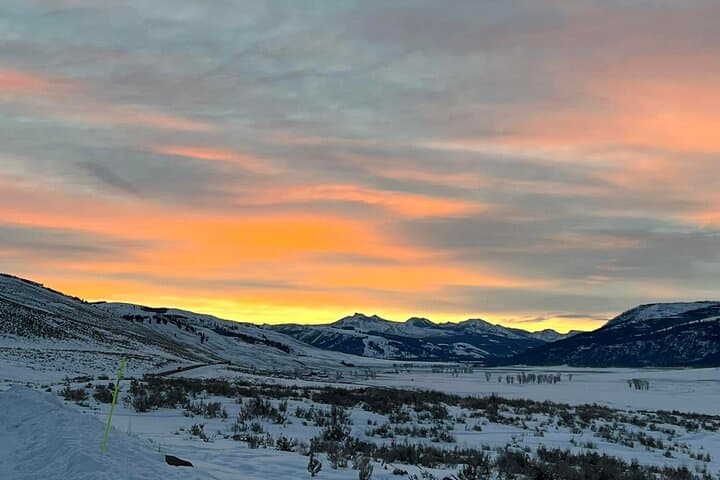 Exploring Yellowstone’s Winter Wildlife: A Private VIP Safari Experience photo 2