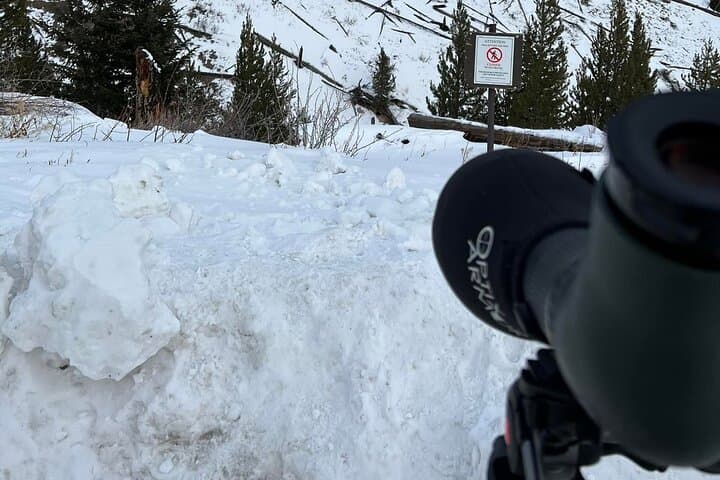 Exploring Yellowstone’s Winter Wildlife: A Private VIP Safari Experience photo 3