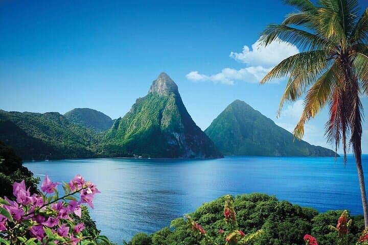St. Lucia Rainforest Eco-Explorer: Zipline, Aerial Tram & Guided Hike photo 4