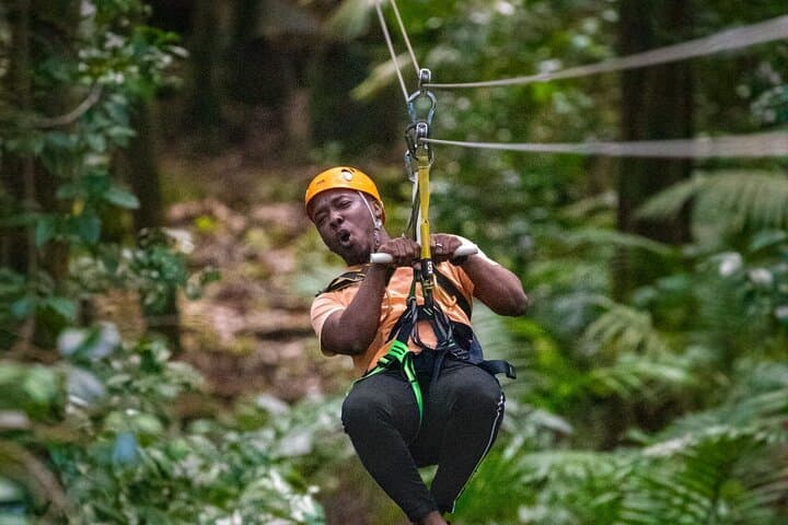 St. Lucia Rainforest Eco-Explorer: Zipline, Aerial Tram & Guided Hike photo 5