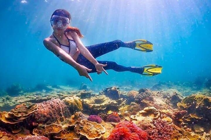 Full-Day Ras Mohamed & White Island Boat Tour from Sharm El Sheikh photo 3