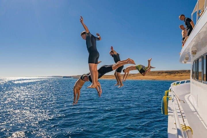 Full-Day Ras Mohamed & White Island Boat Tour from Sharm El Sheikh photo 4