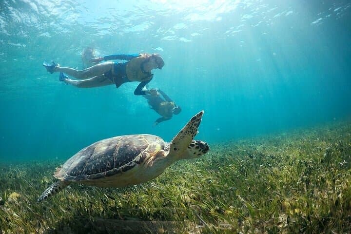 Cancun Combo: Snorkel Four Reefs & Parasail Over Nichupté Lagoon photo 3