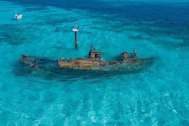 Cancun Snorkeling Adventure: Turtles, Reefs & Underwater Museum & Shipwrecks