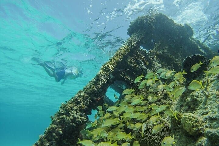 Cancun Snorkeling Adventure: Turtles, Reefs & Underwater Museum & Shipwrecks photo 2