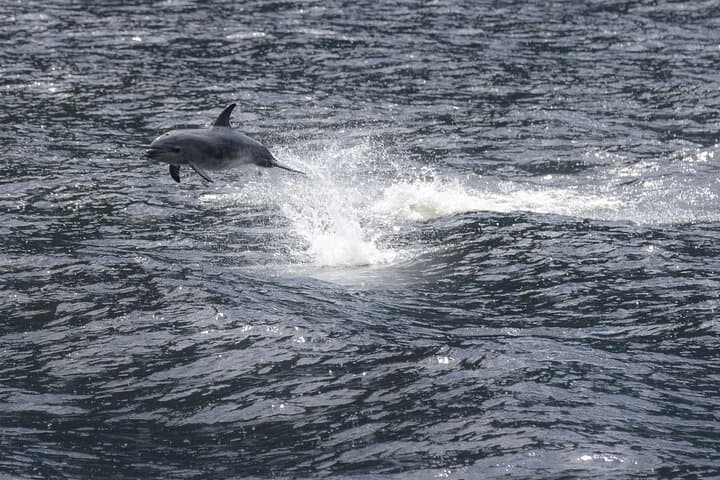 Milford Sound Mariner Overnight Cruise — Overnight Fiordland Cruise to Harrison Cove photo 6