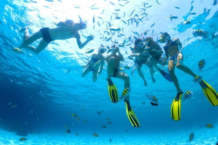 Snorkel White Island & Ras Mohamed: Full-Day Trip from Sharm El Sheikh photo 3