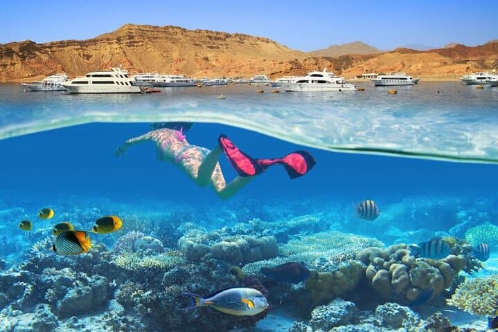Ras Mohammed & White Island Snorkel Adventure from Sharm El Sheikh photo 4