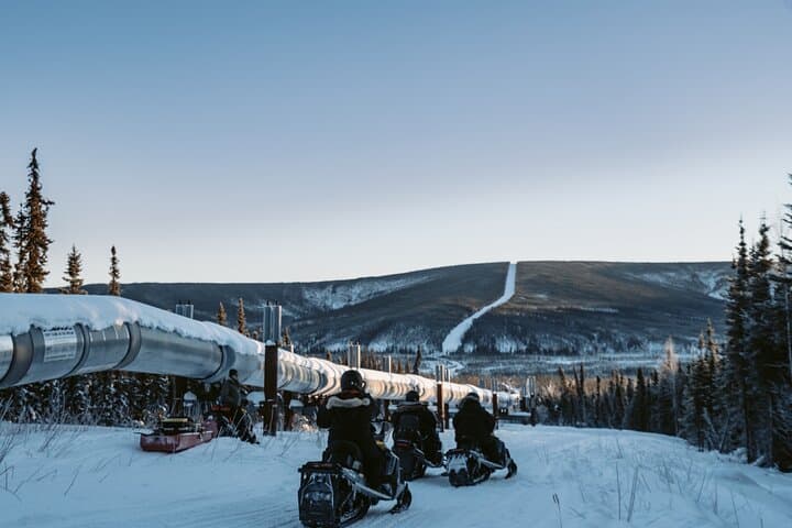 1-Hour Snowmobile Tour in Alaska's Boreal Forest Near Fairbanks photo 1