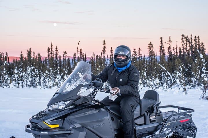 1-Hour Snowmobile Tour in Alaska's Boreal Forest Near Fairbanks photo 3
