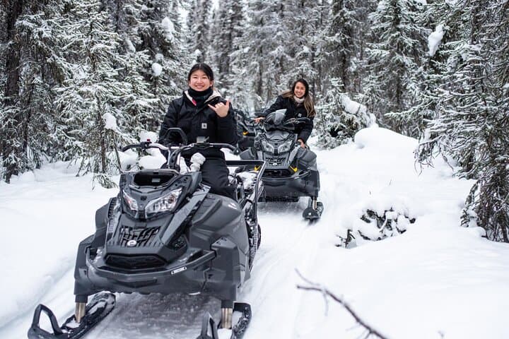 Reindeer and Snowmobile Day Trip to Borealis Basecamp — Fairbanks Arctic Adventure