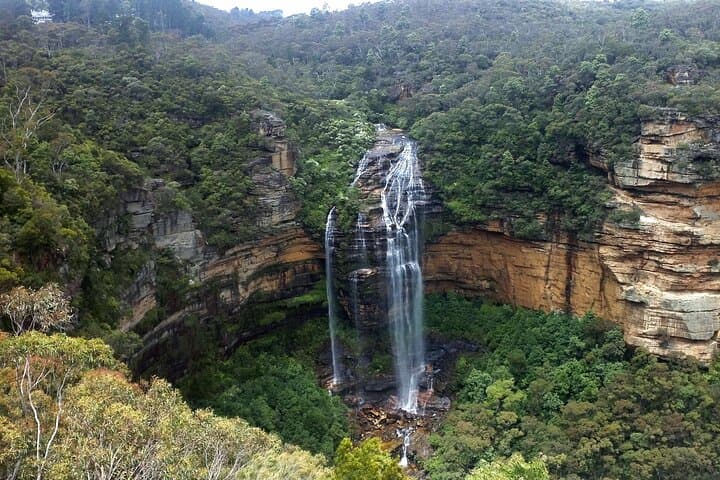 Sydney to Blue Mountains in One Day: Private Full-Day Combo Tour photo 6