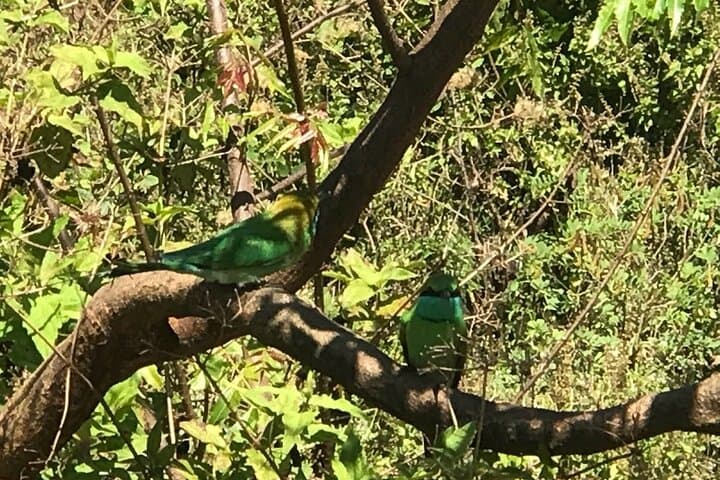 Sri Lanka Multi-Day Private Driver Tour — Custom Road-Trip from Negombo photo 3