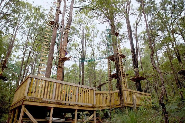 Lane Poole Park Dwellingup Tree Ropes Course: Treetop Ziplines & Aerial Adventure Near Perth photo 3