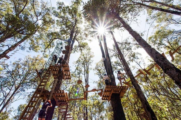 Lane Poole Park Dwellingup Tree Ropes Course: Treetop Ziplines & Aerial Adventure Near Perth photo 4