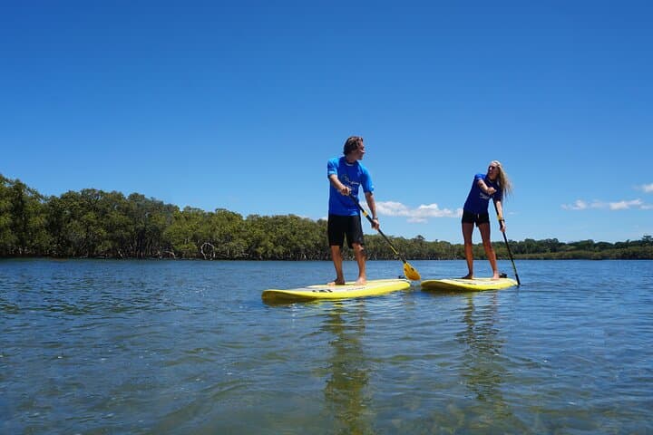 Byron Bay Stand-Up Paddle Board Tour on the Brunswick River
