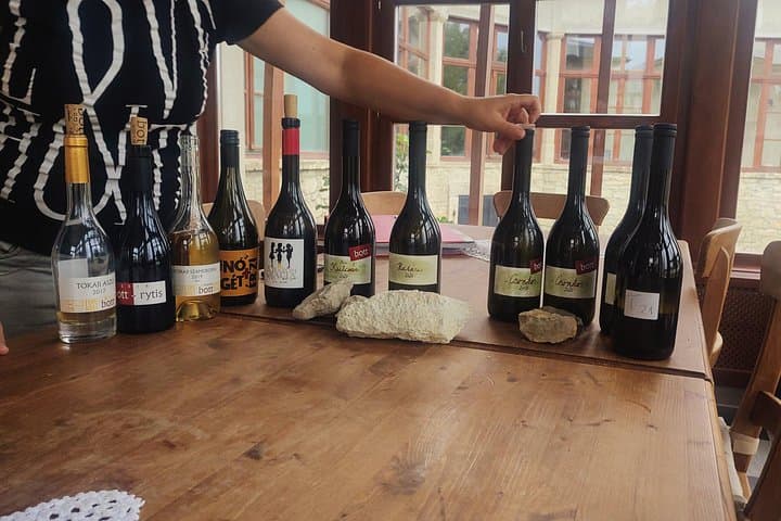 Tokaj Wine Tasting Tour from Košice — Day Trip to Slovak Wineries photo 3