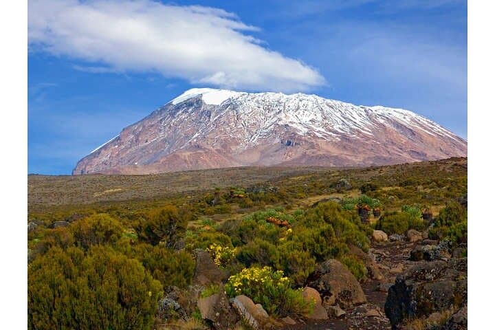 Kilimanjaro Day Trip from Arusha — Mandara Hut & Maundi Crater Hike photo 3