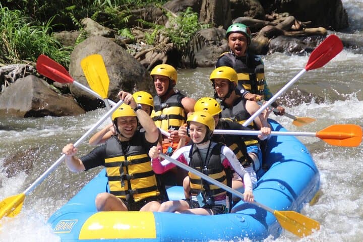 Ayung River White Water Rafting in Ubud: 14km Jungle Descent